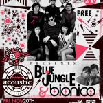 Alborde Acoustic: Blue Jungle and Bionico